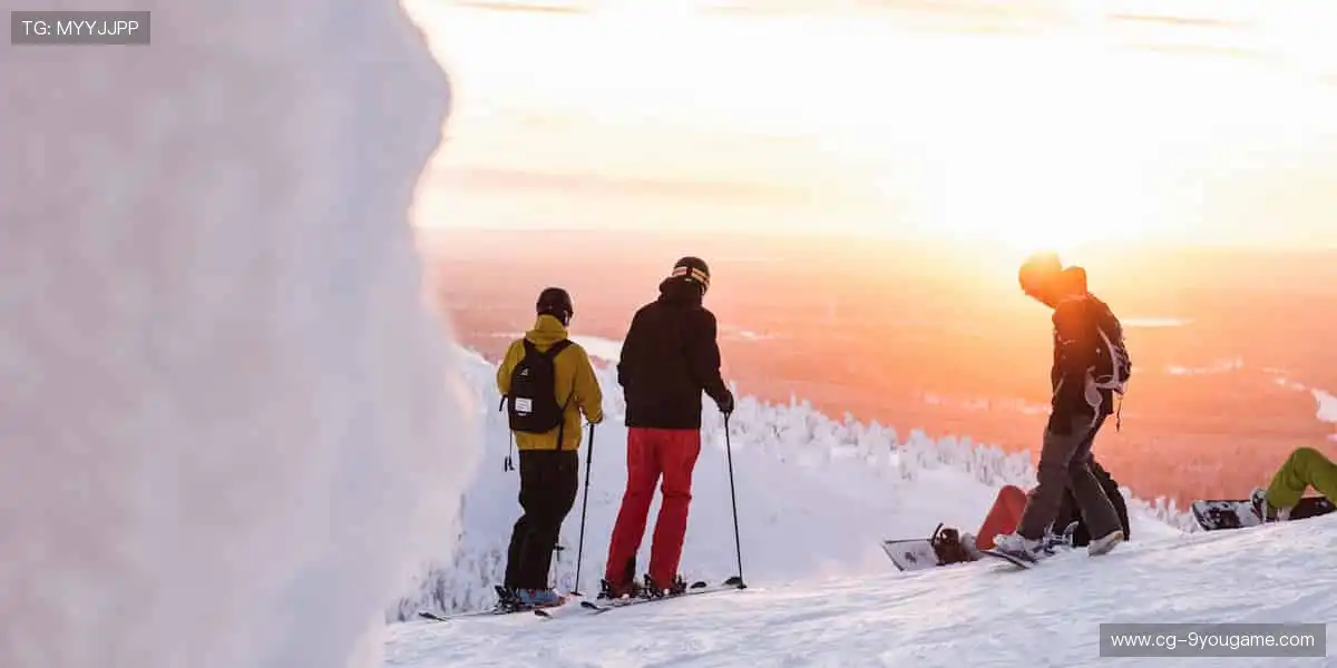 🎯专业装备，点燃你的运动激情！